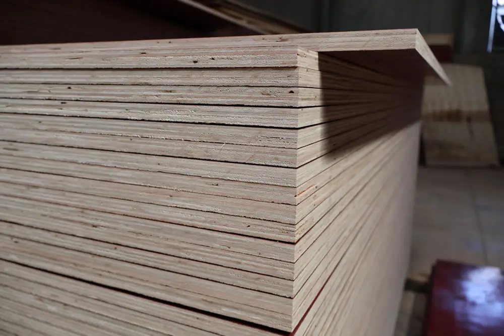 film-faced-plywood-core-edge-detail.webp.webp