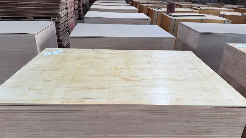 Why Is 1220 × 2440mm a Common Size for Export Film Faced Plywood?