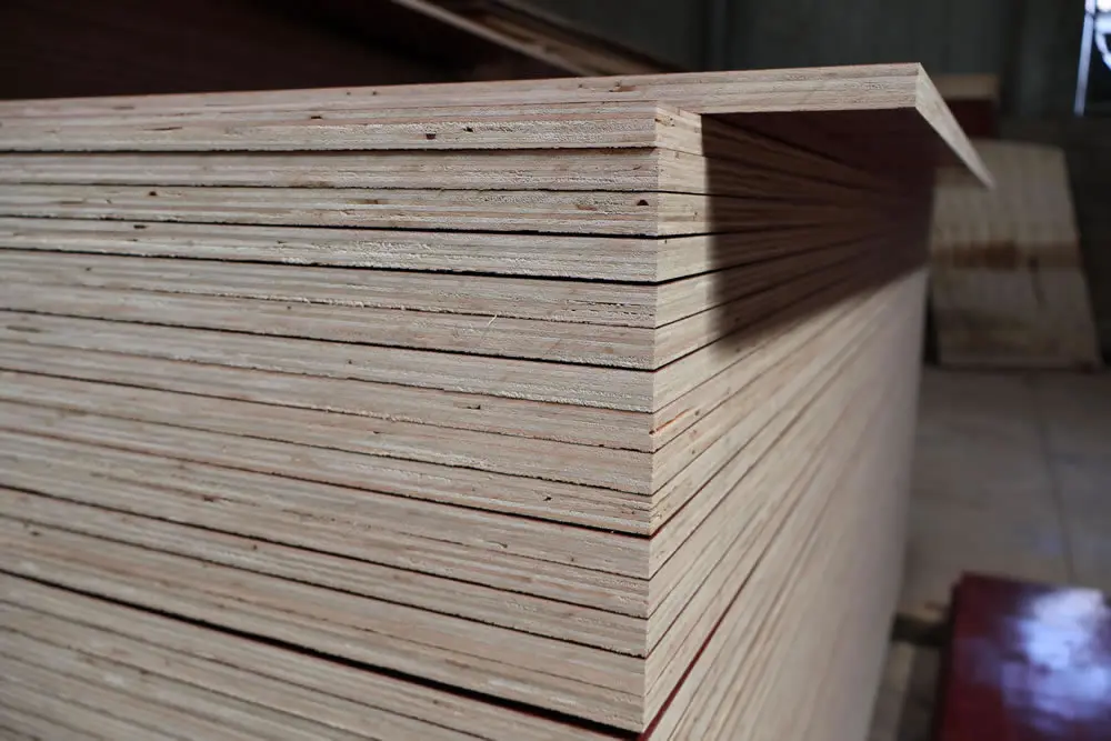 film-faced-plywood-core-edge.webp.webp